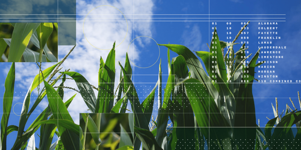 corn and technology meet